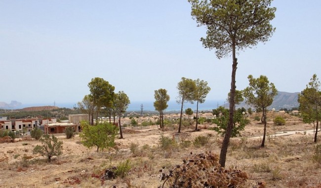 Affärslokaler - Begagnad - Benidorm - LE-1468
