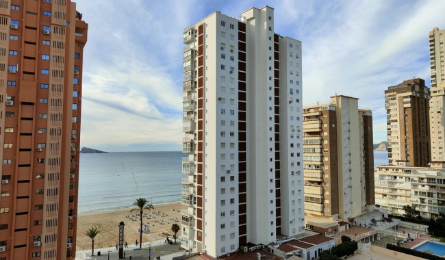 Apartament - Sprzedaż - Benidorm - Benidorm Centro