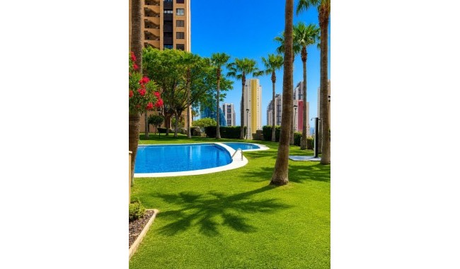 Apartament - Sprzedaż - Benidorm - Playa Poniente