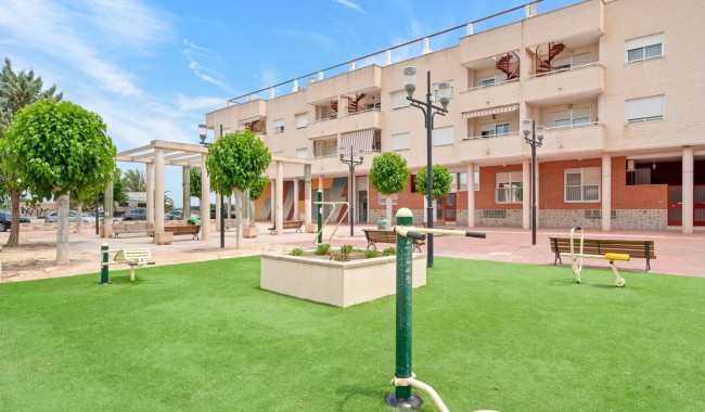 Apartament - Sprzedaż - Bigastro - Bigastro