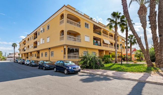 Apartament - Sprzedaż - Jacarilla - Jacarilla