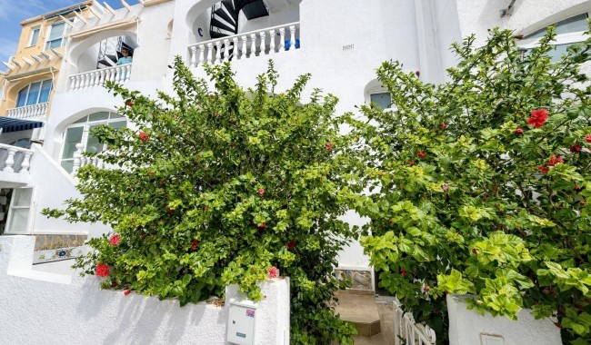 Apartament - Sprzedaż - San Miguel de Salinas - Las filipinas