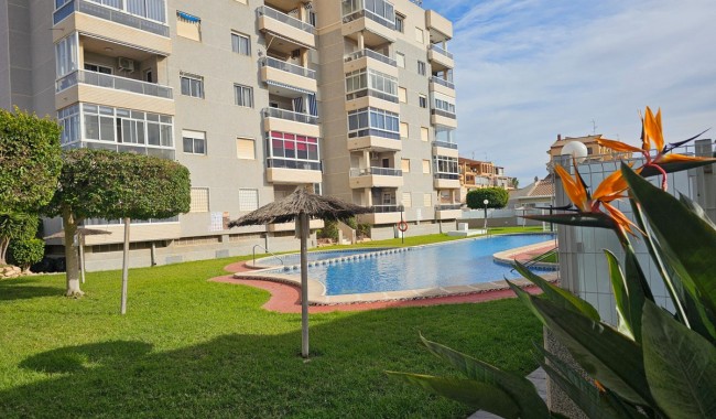 Apartament - Sprzedaż - Torrevieja - Centro