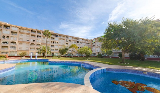 Apartament - Sprzedaż - Torrevieja - Parque las naciones