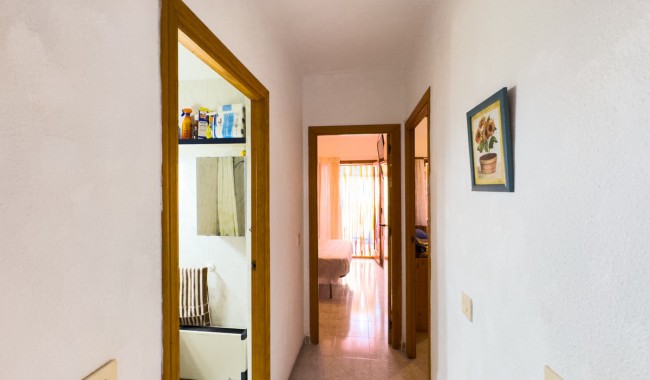 Apartament - Sprzedaż - Torrevieja - Playa de los locos