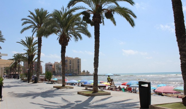 Apartament - Sprzedaż - Torrevieja - Playa del cura
