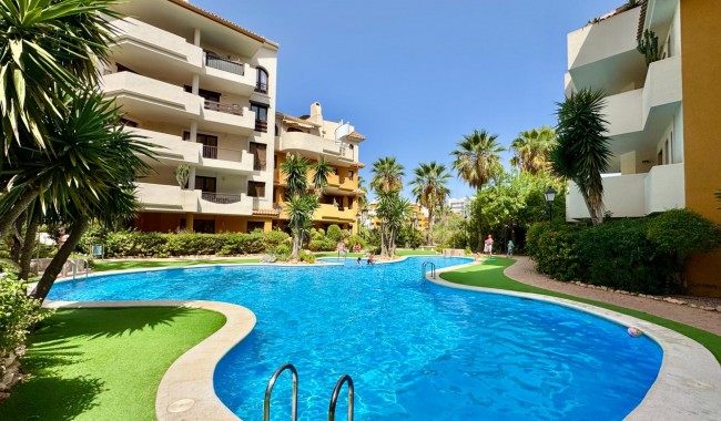 Apartament - Sprzedaż - Torrevieja - Punta prima