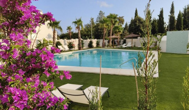Apartamento - Segunda mano - Denia - Denia Centro