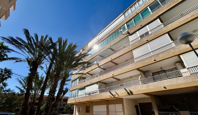 Apartamento - Segunda mano - Guardamar - Guardamar del Segura Centro