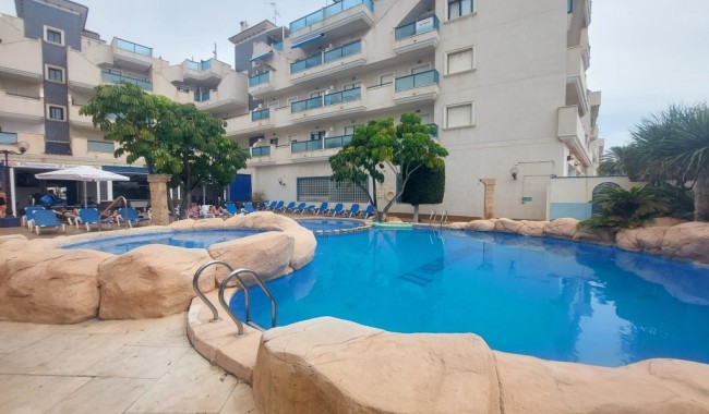 Apartamento - Segunda mano - Orihuela - Orihuela Centro