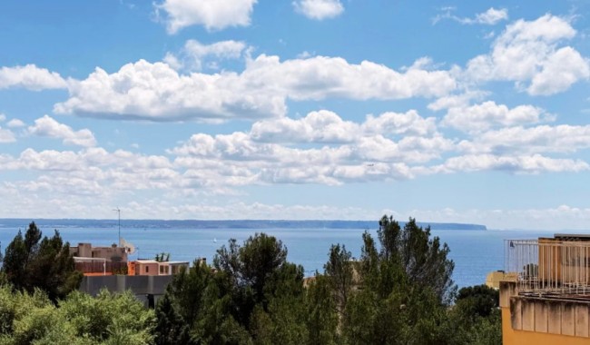 Apartamento - Segunda mano - Palma de Mallorca - Sant Agustí