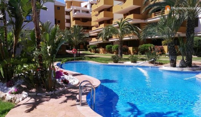 Apartamento - Segunda mano - Punta Prima - La Entrada