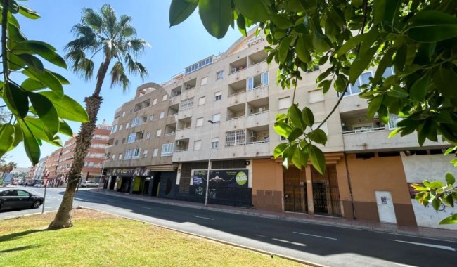 Apartamento - Segunda mano - Torrevieja - Centro