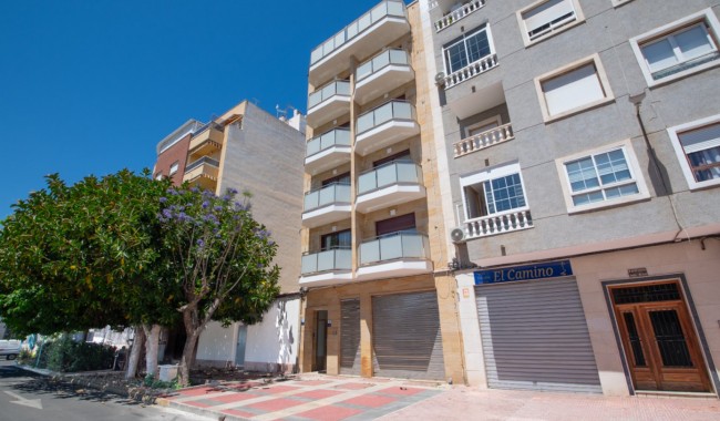 Apartamento - Segunda mano - Torrevieja - CO-7554