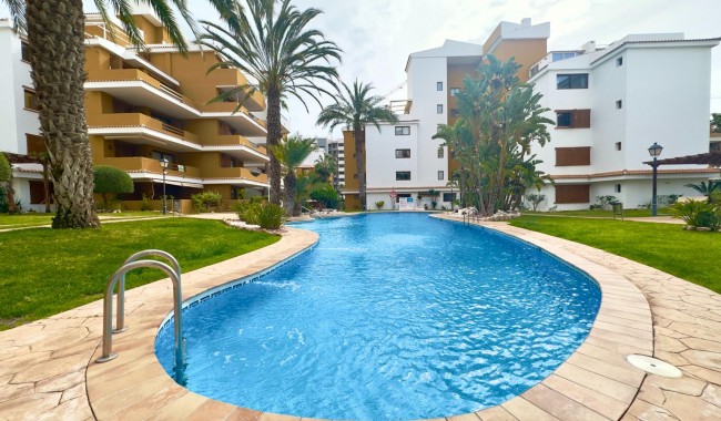 Apartamento - Segunda mano - Torrevieja - Punta prima