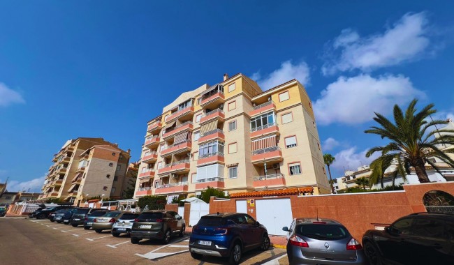 Apartamento - Segunda mano - Torrevieja - Torrevieja