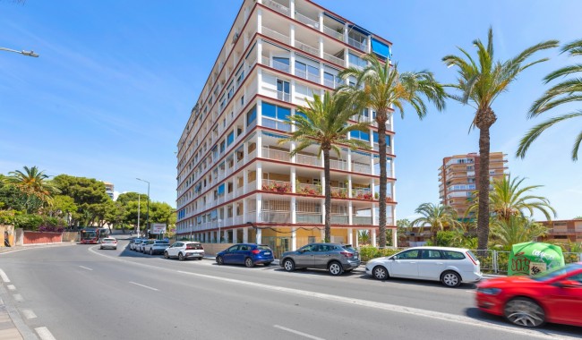 Apartment - Resale - Alicante - Alicante