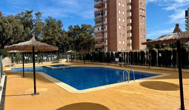 Apartment - Resale - Guardamar - Guardamar del Segura Centro