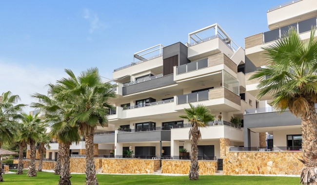 Apartment - Resale - Orihuela - Orihuela Centro