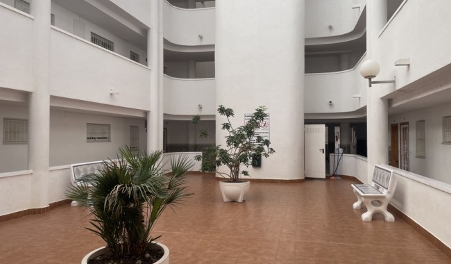 Apartment - Resale - Torrevieja - Torrevieja