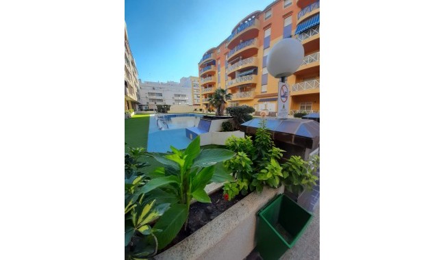 Apartment - Resale - Torrevieja - TP-5009