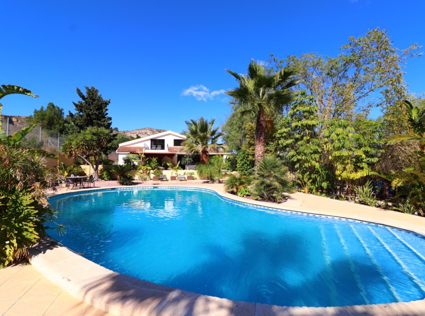 Begagnad - Finca - Aspe - Aspe - Country