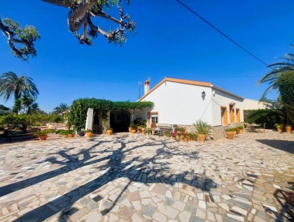 Begagnad - Finca - La Marina