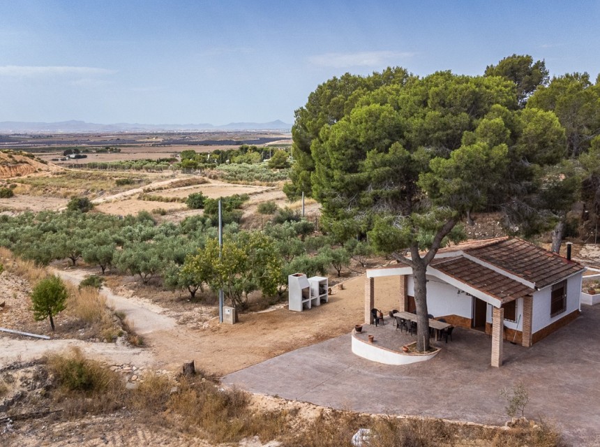 Begagnad - Finca - La Tercia