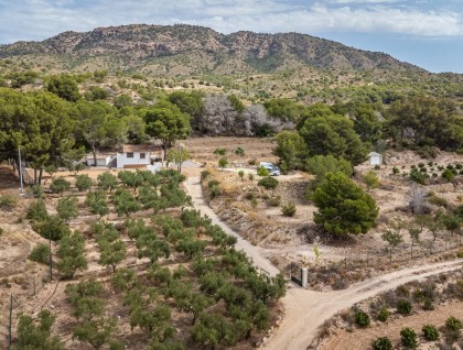 Begagnad - Finca - La Tercia
