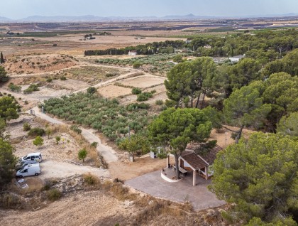 Begagnad - Finca - La Tercia