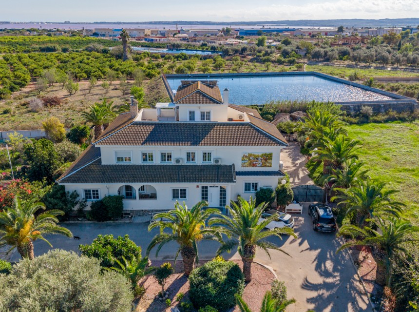 Begagnad - Finca - Los Montesinos