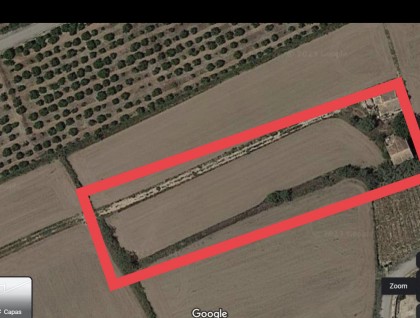 Begagnad - Finca - Orihuela - Callosa De Segura