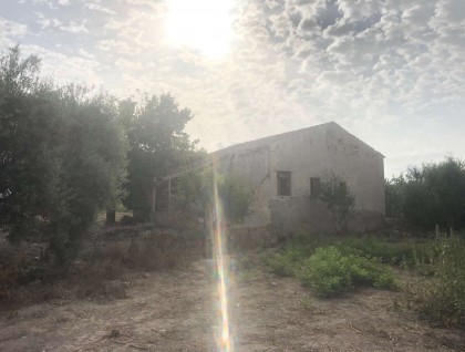 Begagnad - Finca - Orihuela - Callosa De Segura