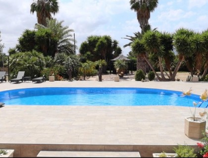 Begagnad - Finca - Orihuela - Orihuela Costa