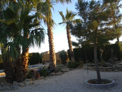 Begagnad - Finca - Orihuela - Orihuela Costa