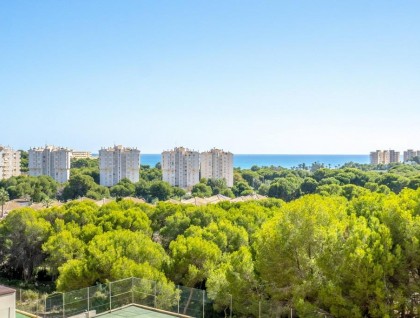 Begagnad - Lägenhet - Orihuela Costa - Altos de Campoamor