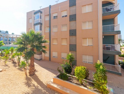 Begagnad - Lägenhet - Torrevieja - La Mata