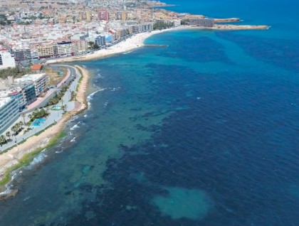 Begagnad - Lägenhet - Torrevieja - Playa del cura