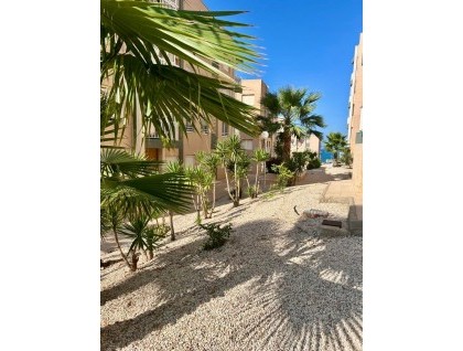 Begagnad - Lägenhet - Torrevieja - Torre la mata