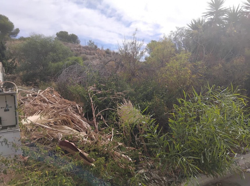 Begagnad - Tomt - Algorfa