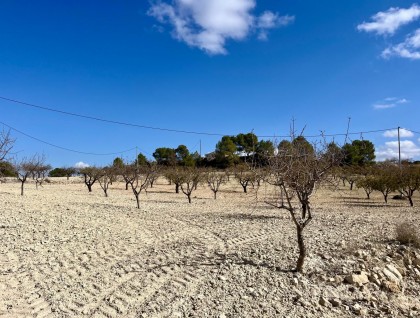 Begagnad - Tomt - Bullas - Costa Calida