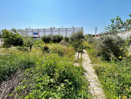 Begagnad - Tomt - Ciudad Quesada/Rojales - Ciudad Quesada
