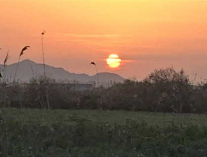 Begagnad - Tomt - Crevillente - Alicante