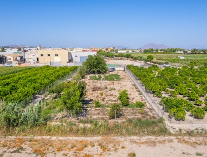 Begagnad - Tomt - Formentera del Segura