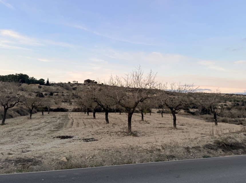 Begagnad - Tomt - Torremendo - Costa Blanca