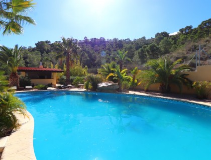 Brukt - Finca - Aspe - Aspe - Country