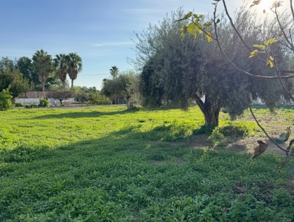 Brukt - Finca - Catral