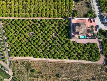 Brukt - Finca - Orihuela - Orihuela Costa