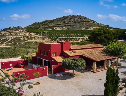 Brukt - Finca - Orihuela - Torremendo