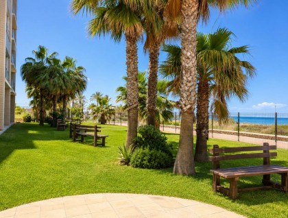 Brukt - Leilighet - Cartagena